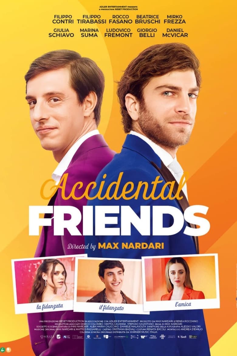 Poster of Accidental Friends