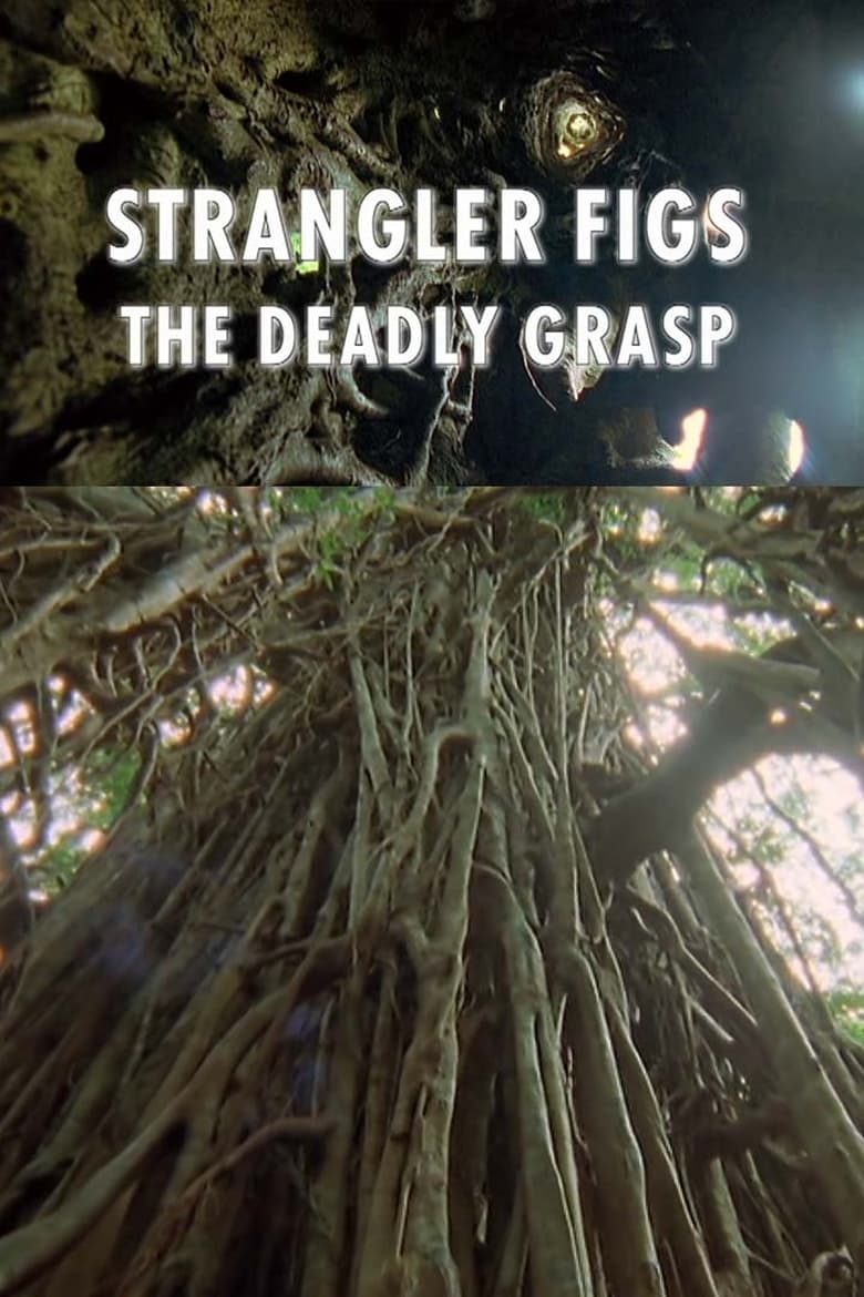 Poster of Strangler Figs: The Deadly Grasp