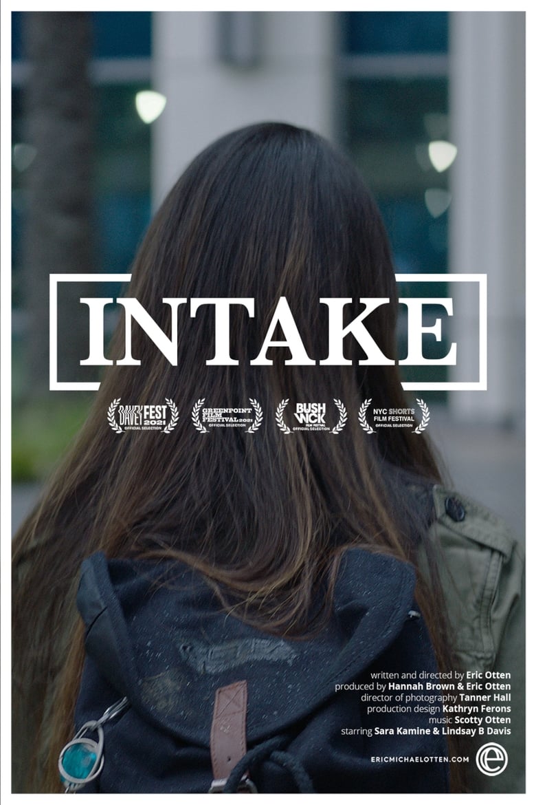 Poster of Intake