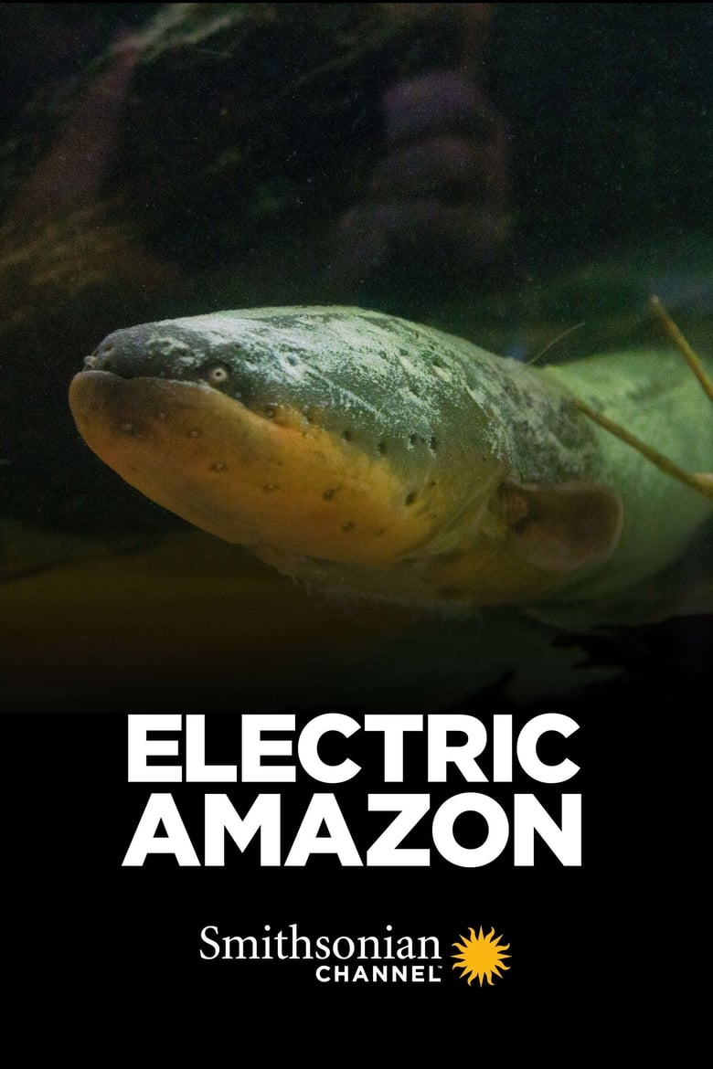 Poster of Electric Amazon