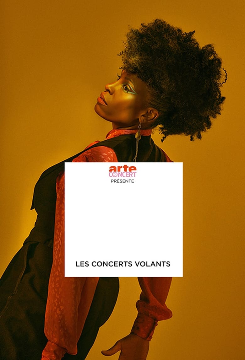 Poster of Les Concerts Volants