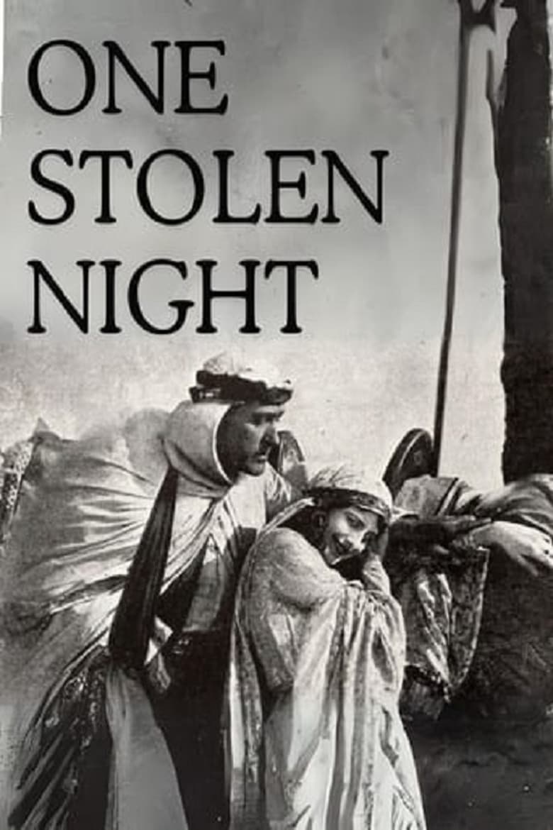 Poster of One Stolen Night