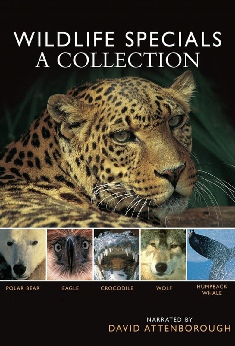 Poster of Episodes in Wildlife Specials - The wildlife specials season 1 - The wildlife specials season 1