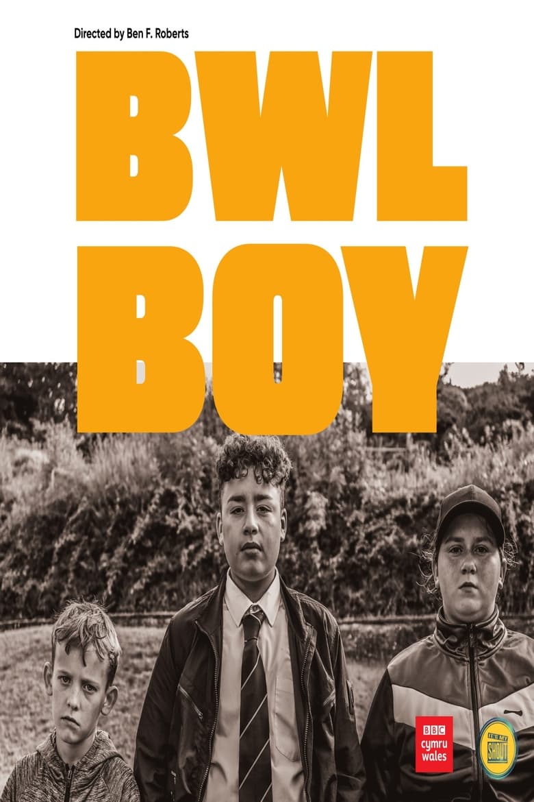 Poster of Bwl Boy