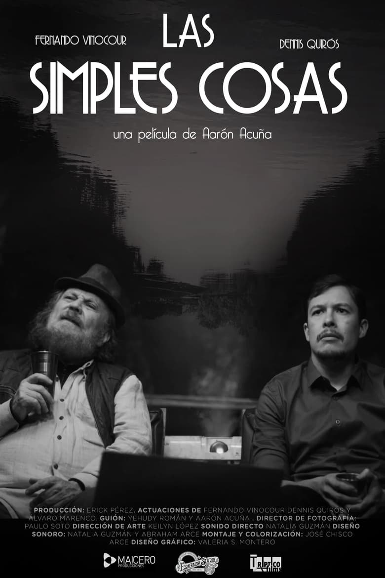 Poster of Las simples cosas