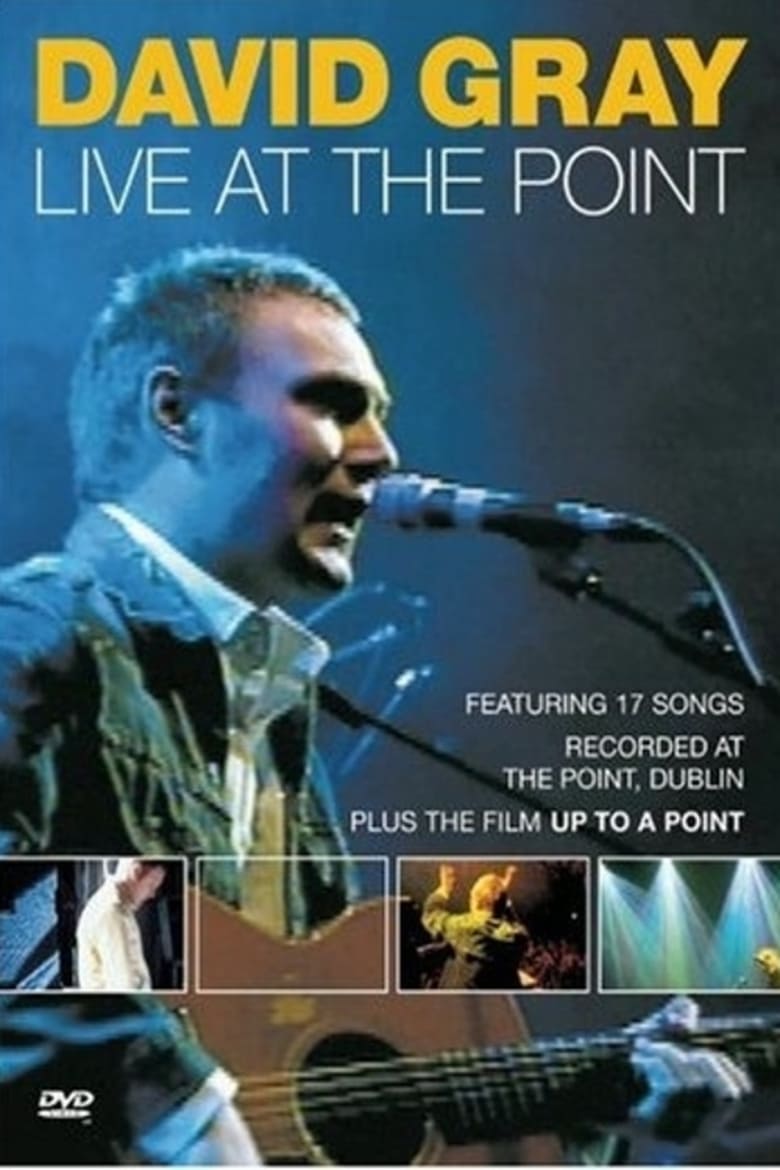 Poster of David Gray: Live at the Point