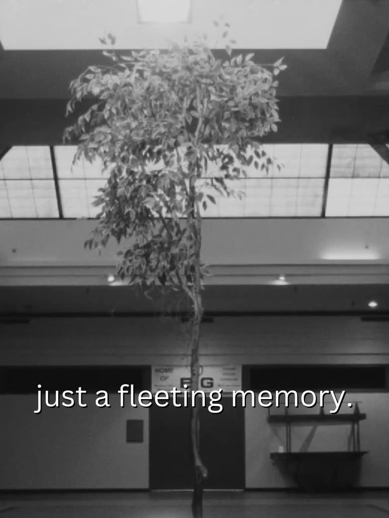 Poster of just a fleeting memory.