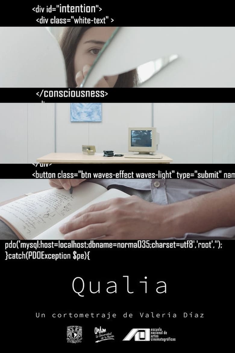 Poster of Qualia