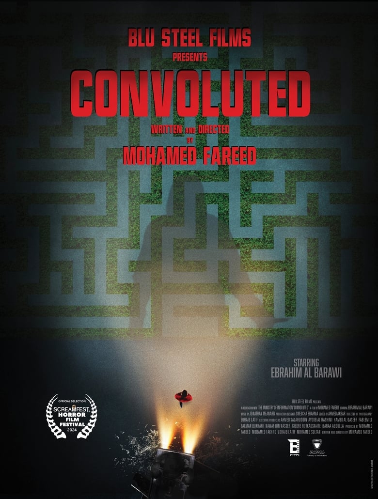 Poster of Convoluted