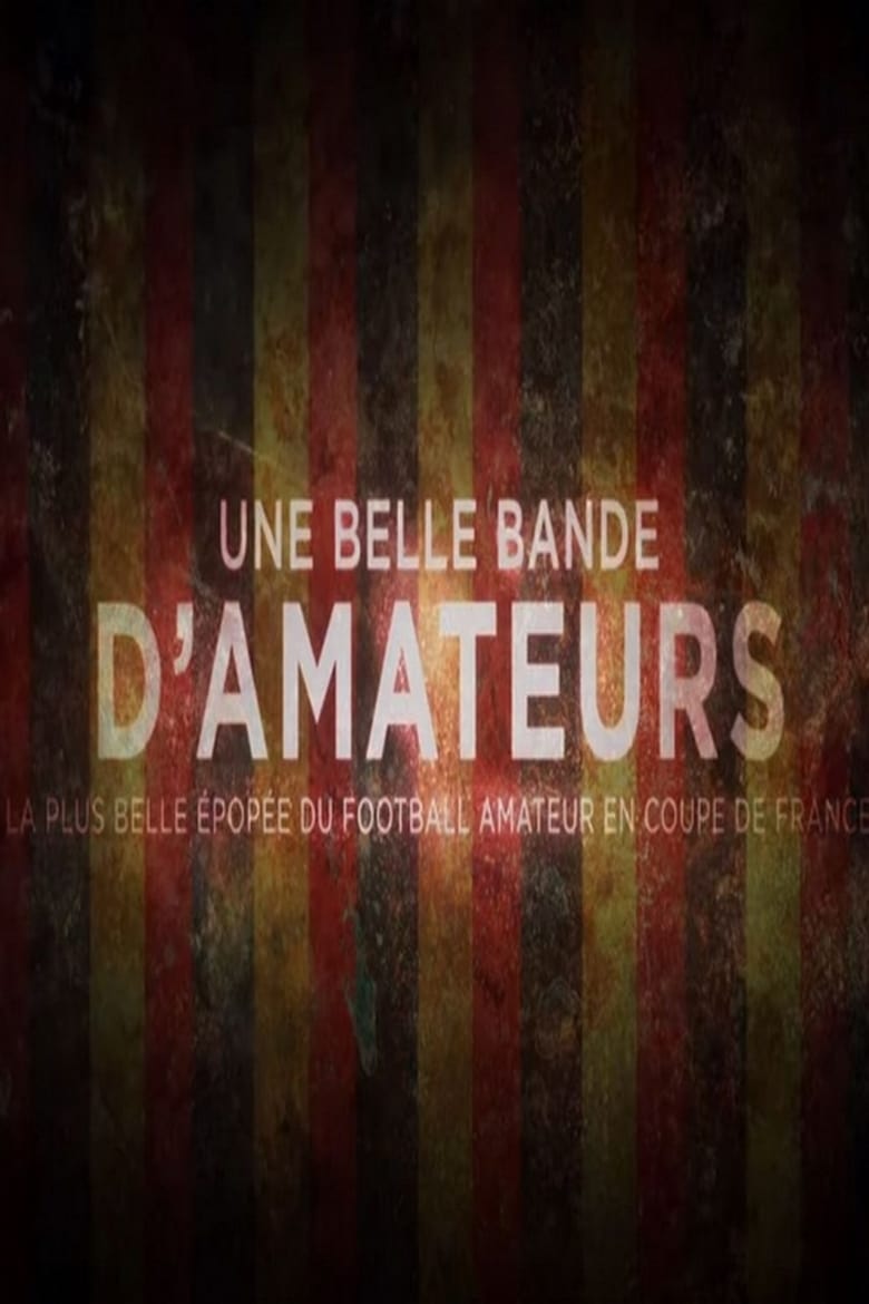 Poster of Une belle bande d'amateurs