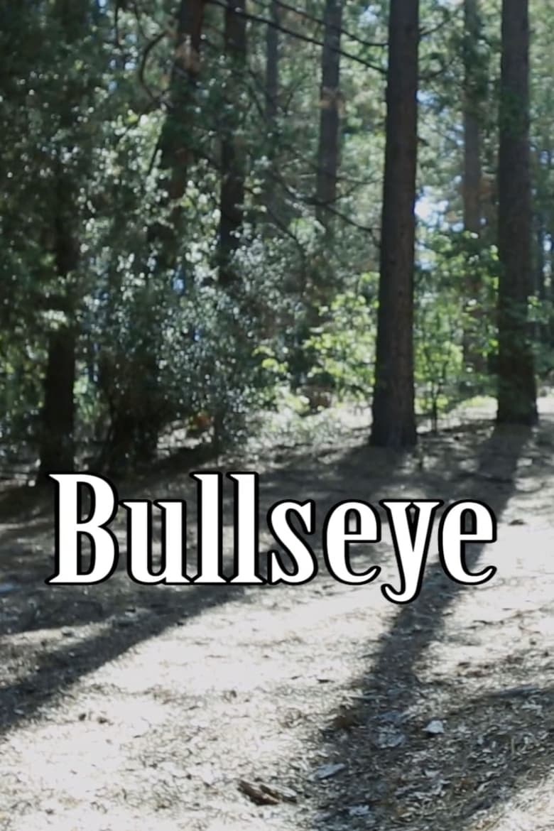 Poster of Bullseye