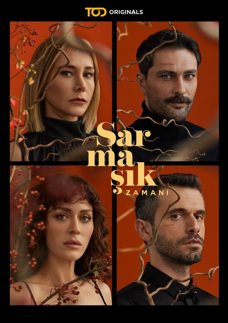 Poster of Episodes in Sarmaşık Zamanı - Season 1 - Season 1