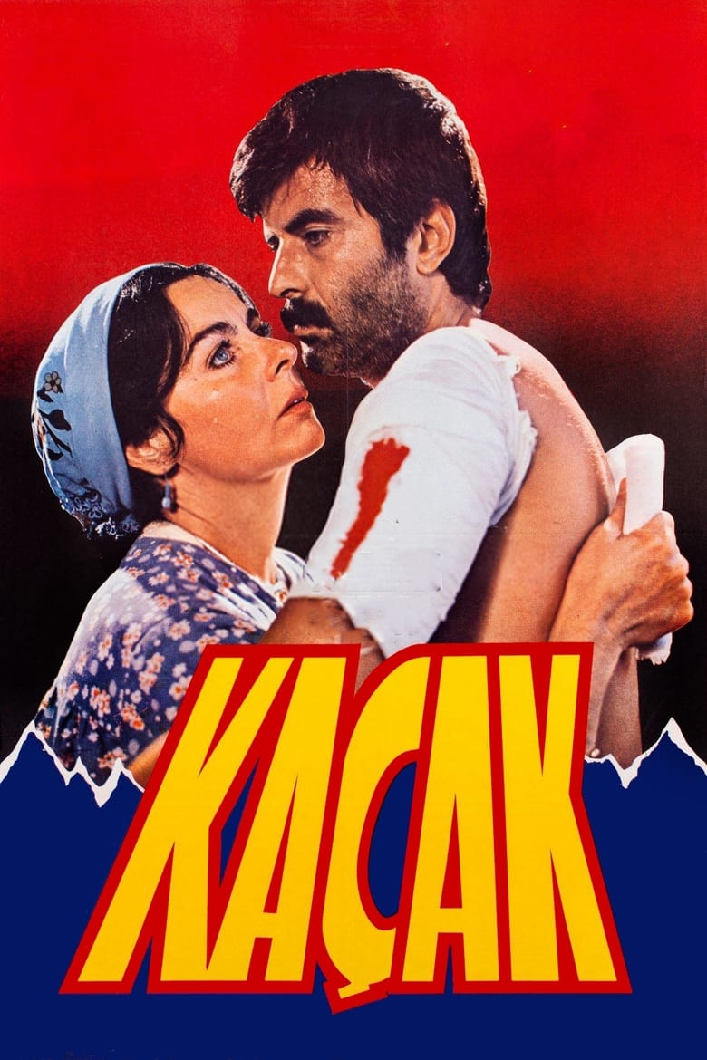 Poster of Kaçak