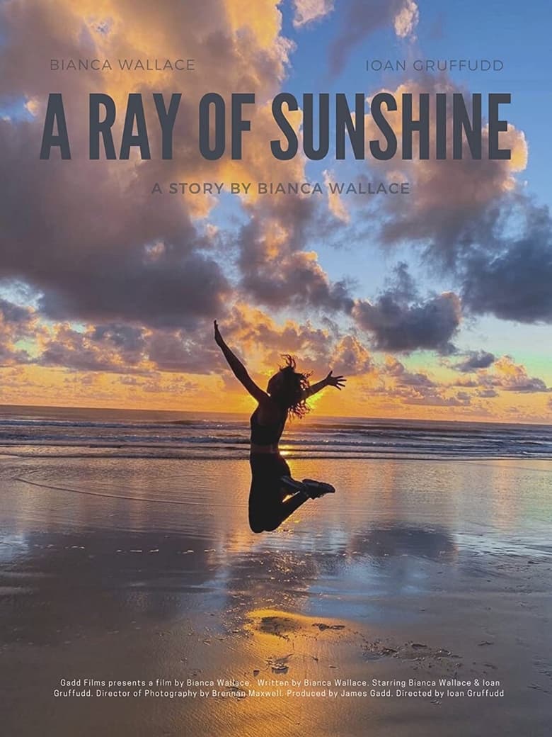 Poster of A Ray of Sunshine