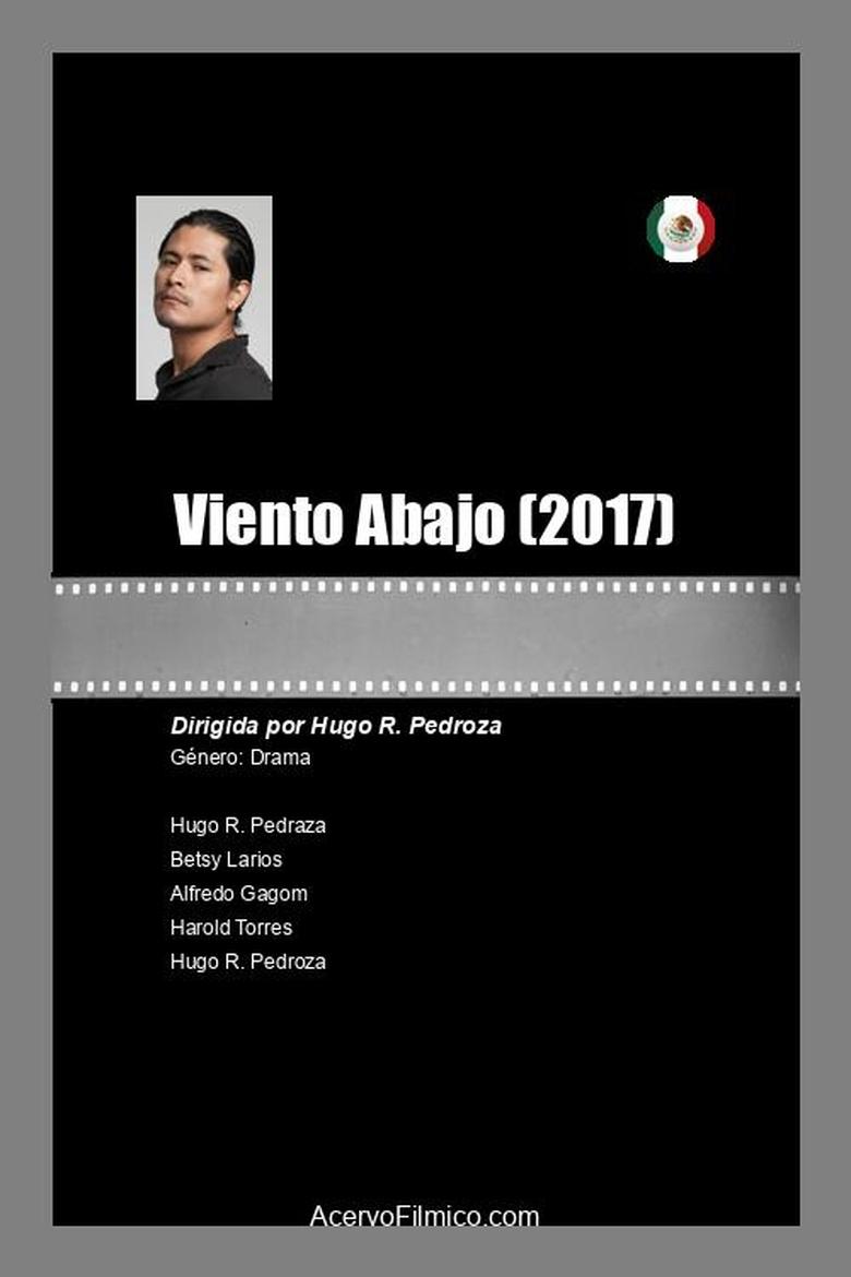 Poster of Viento abajo