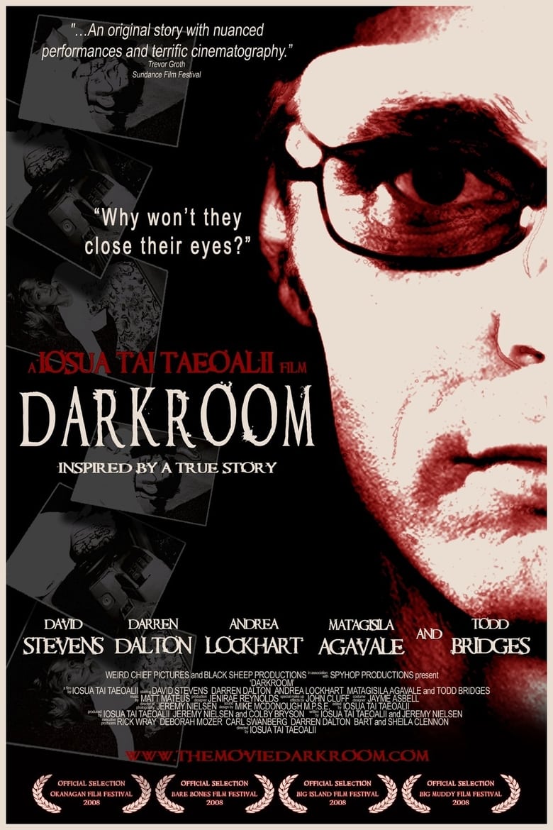 Poster of Darkroom