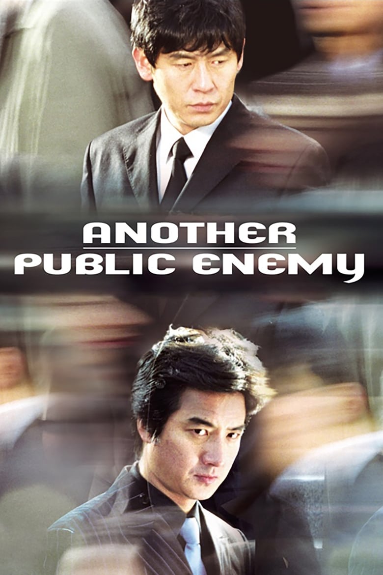 Poster of Another Public Enemy