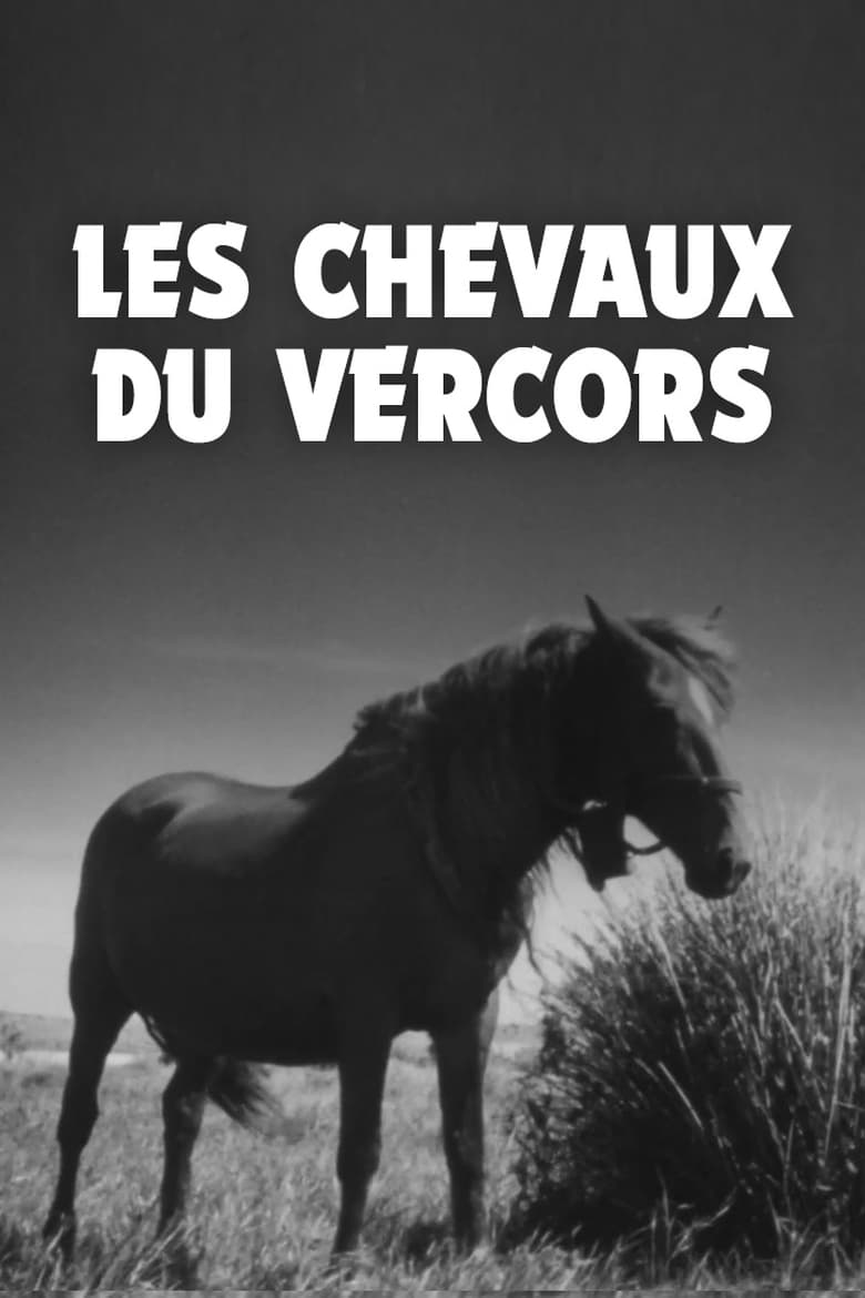 Poster of Les Chevaux du Vercors