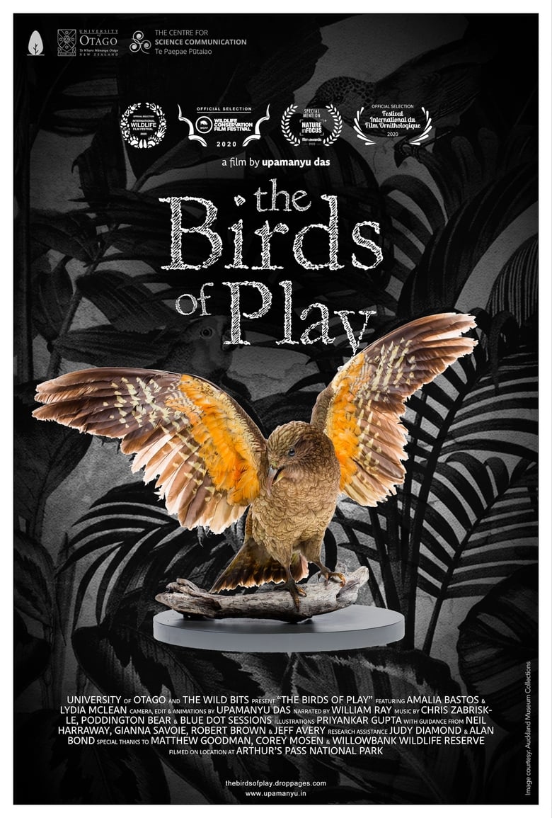 Poster of The Birds of Play