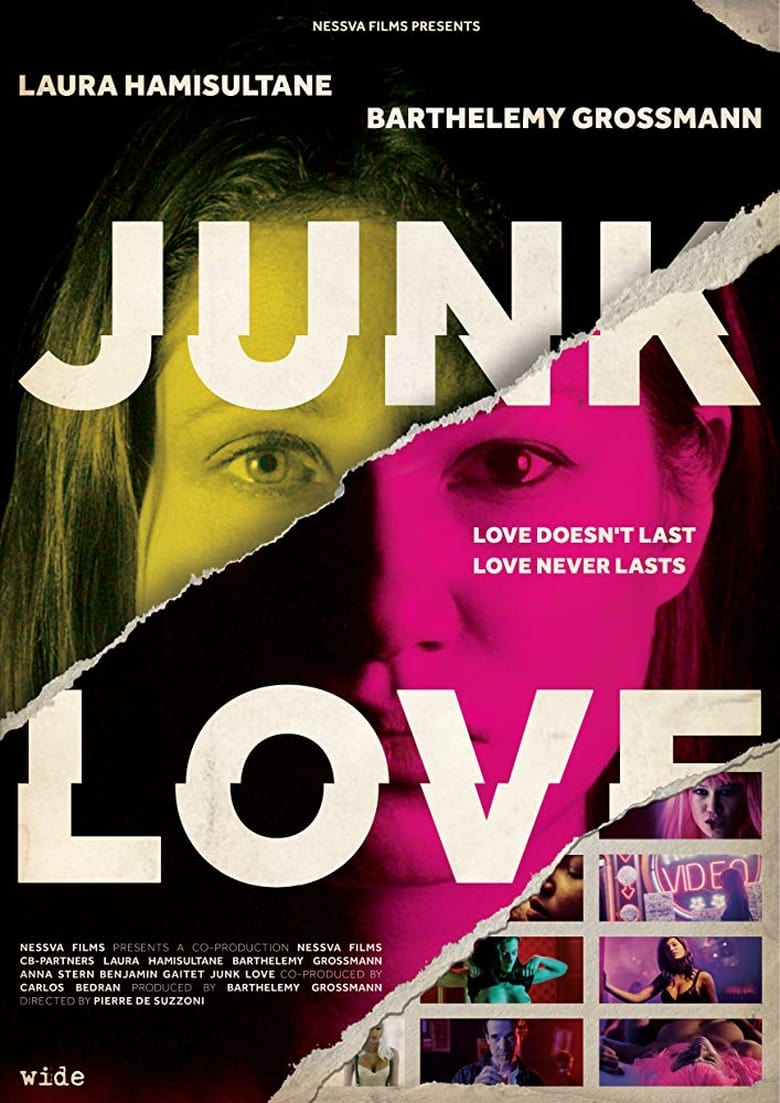 Poster of Junk Love