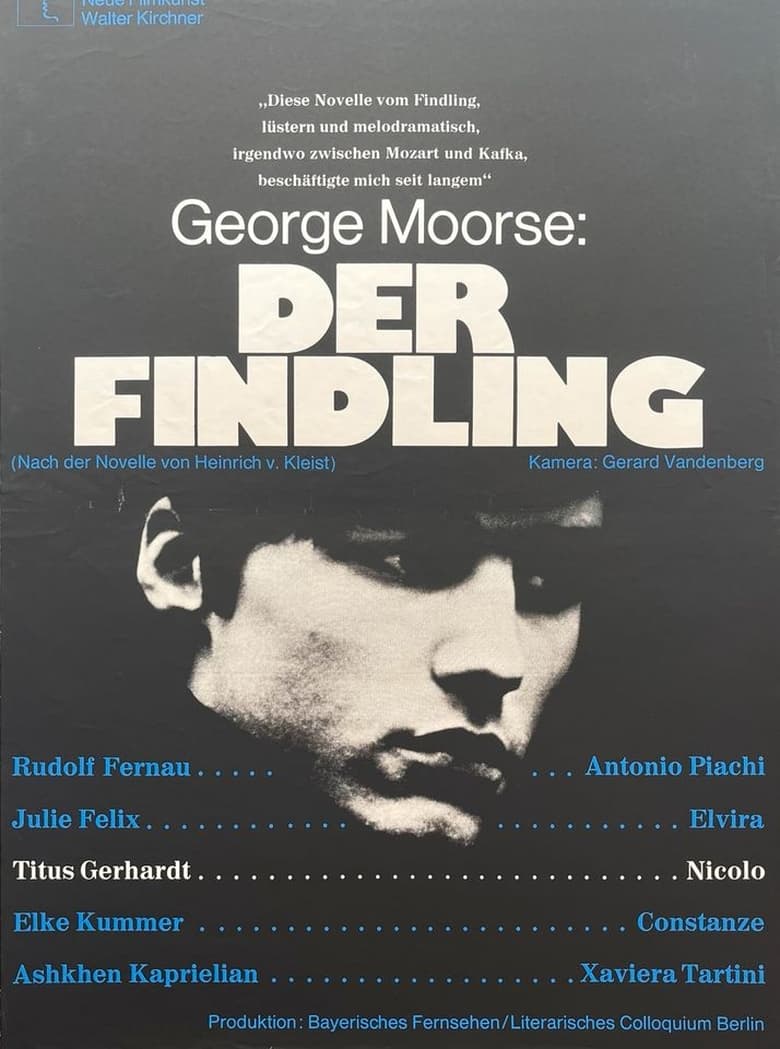 Poster of Der Findling