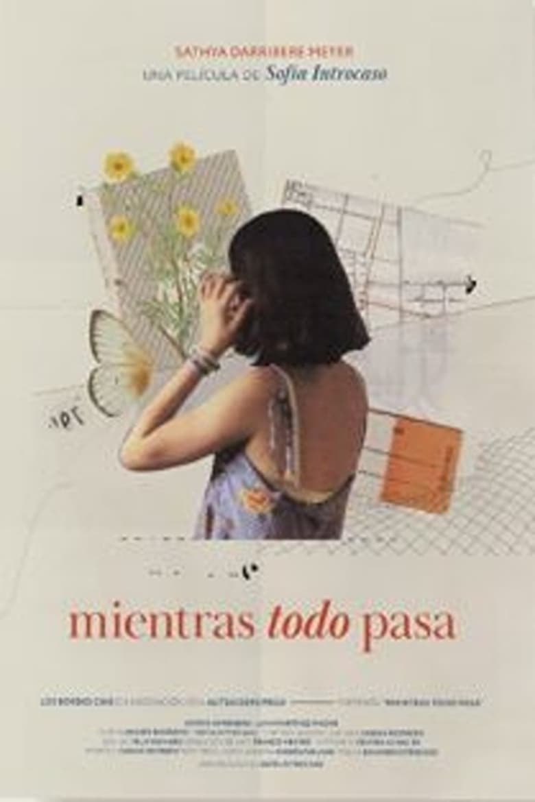 Poster of Mientras todo pasa