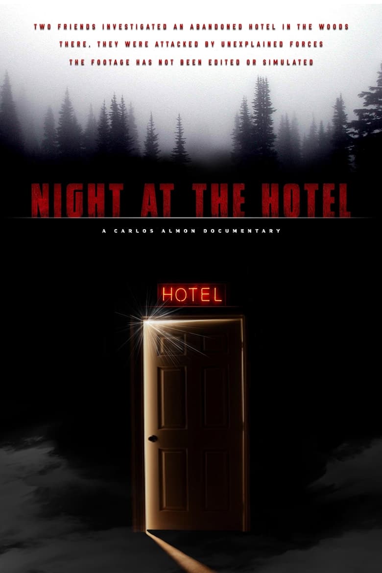 Poster of Night at the Hotel