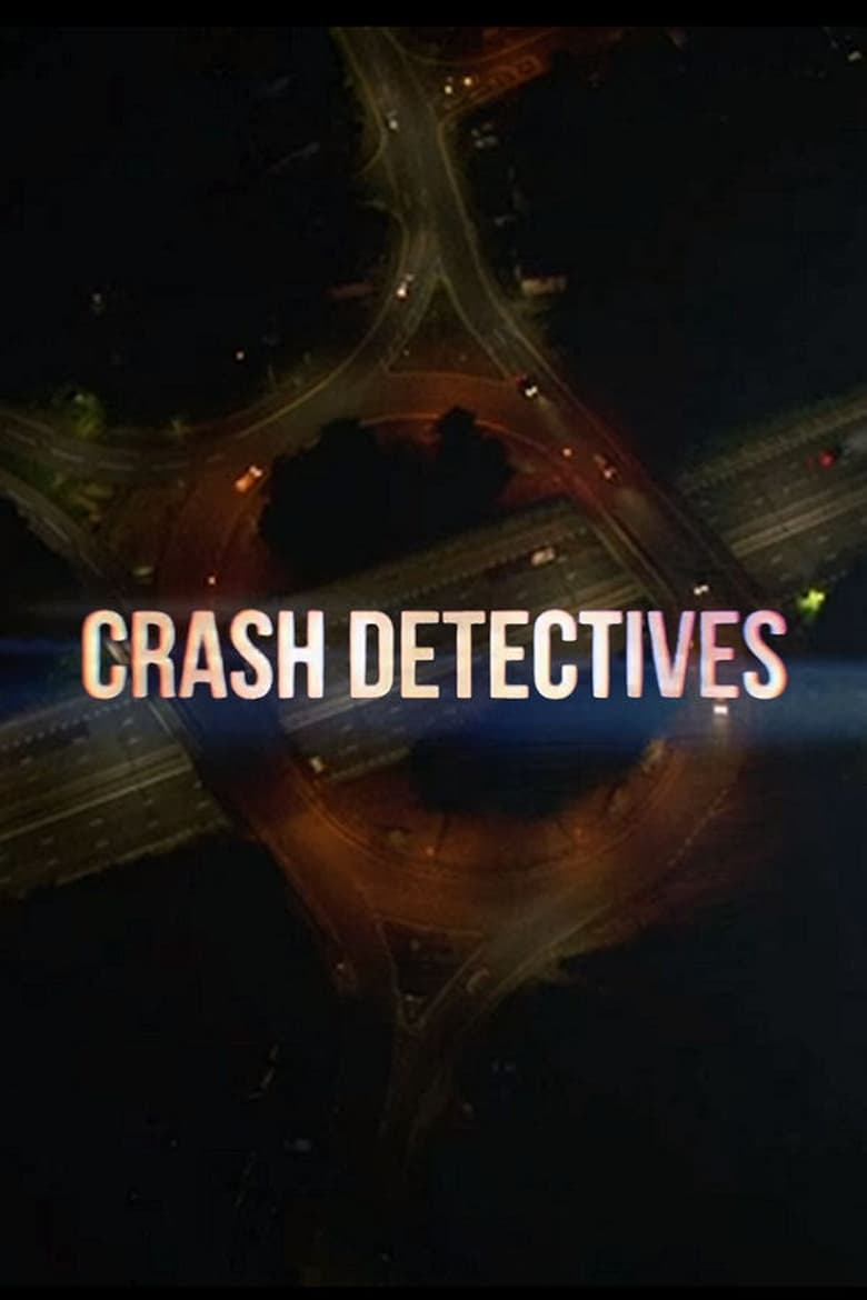 Poster of The Crash Detectives