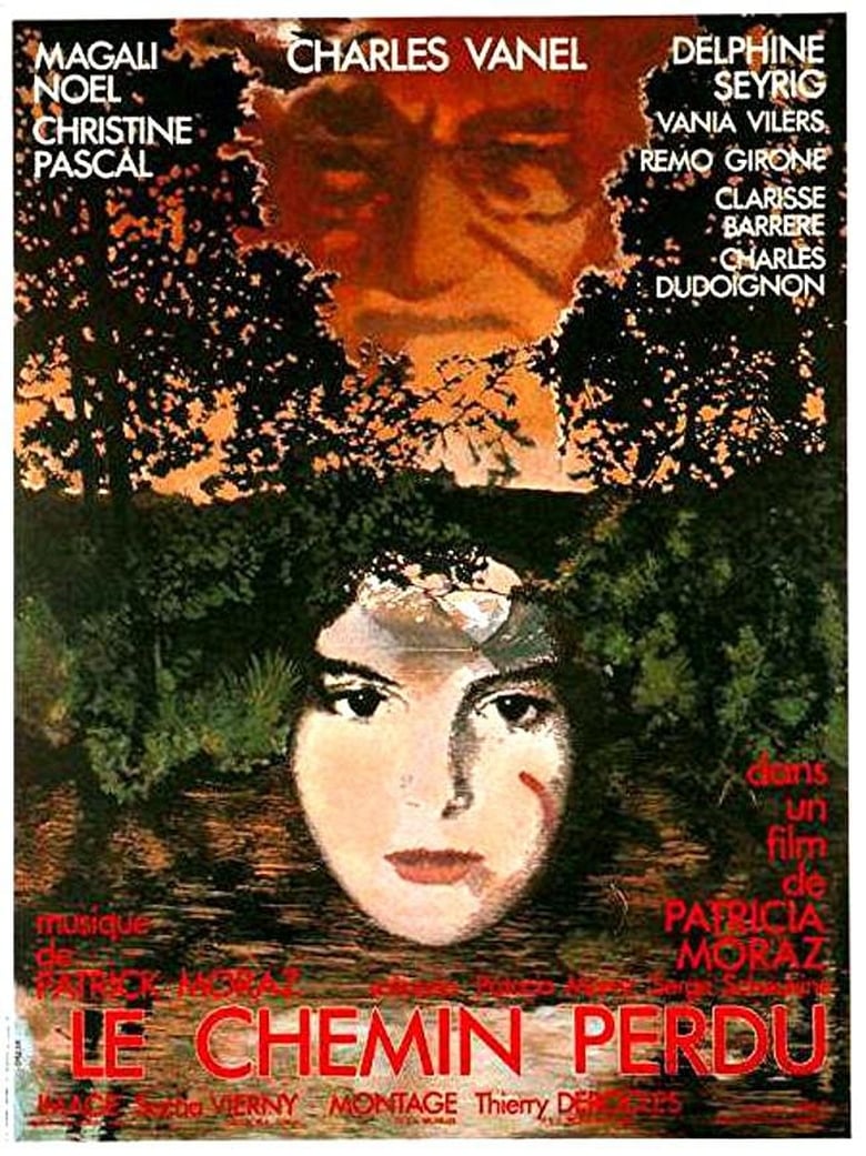 Poster of The Lost Way