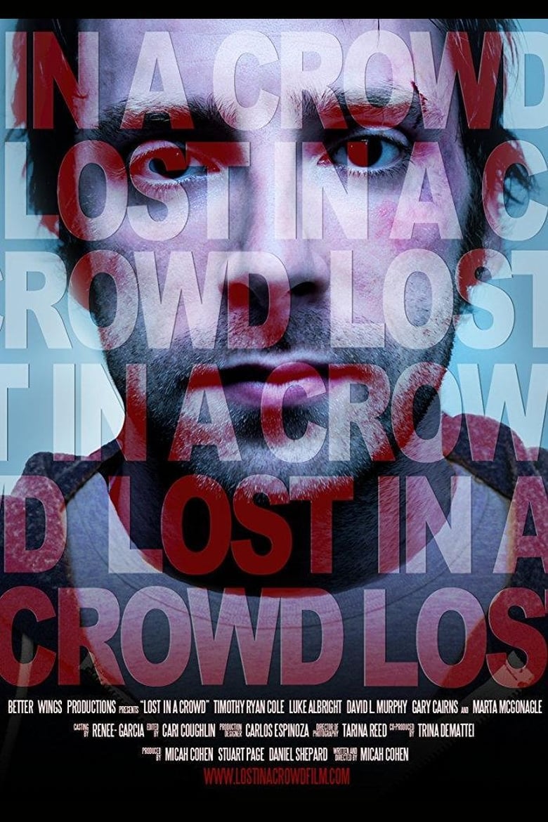 Poster of Lost in a Crowd