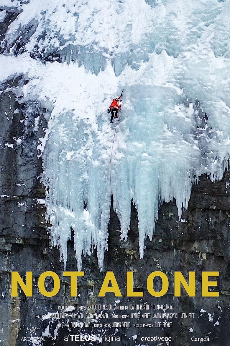 Poster of Not Alone