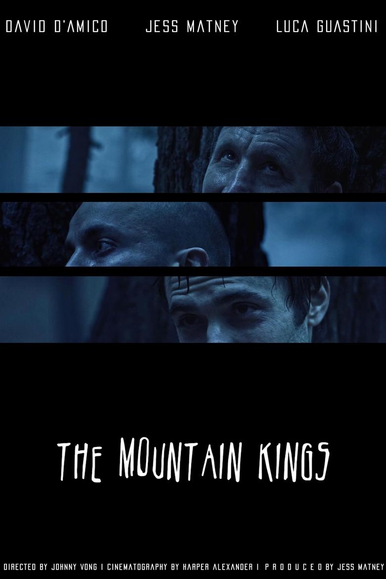 Poster of The Mountain Kings