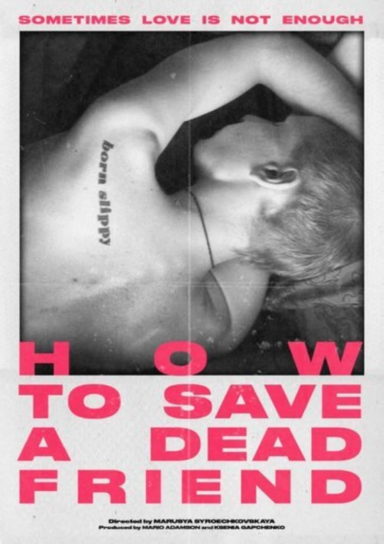 Poster of How to Save a Dead Friend