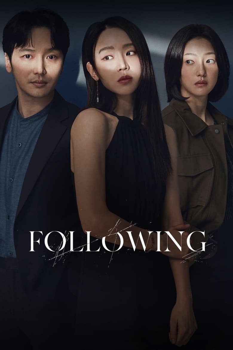 Poster of Following