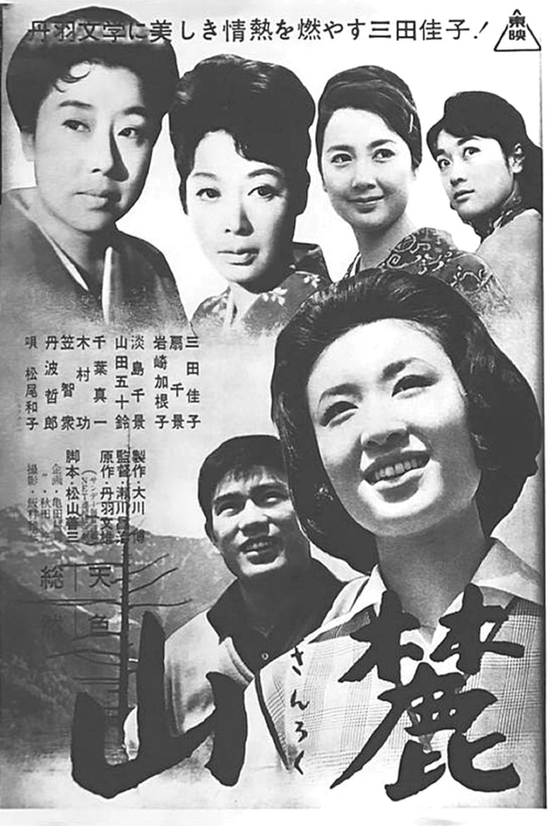 Poster of Four Sisters