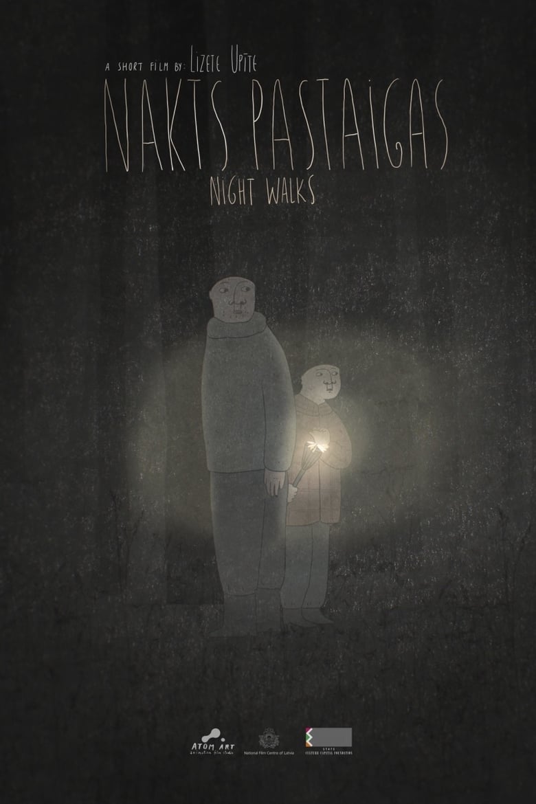 Poster of Night Walks