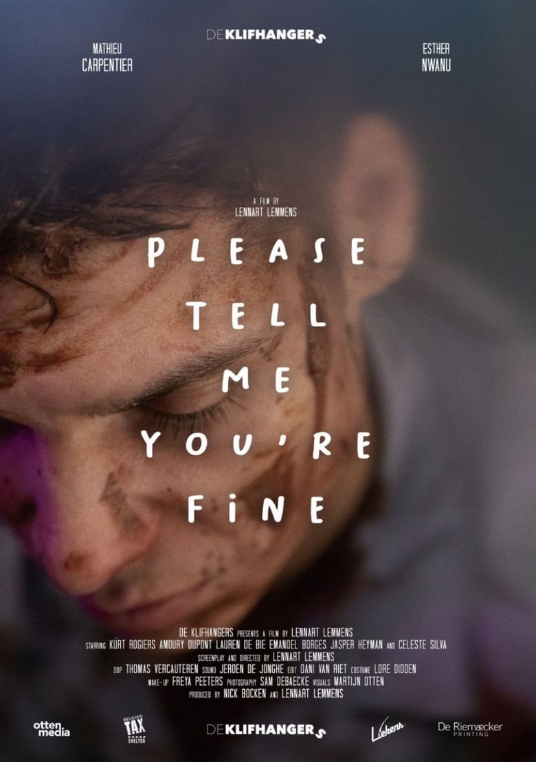 Poster of Please tell me you're fine