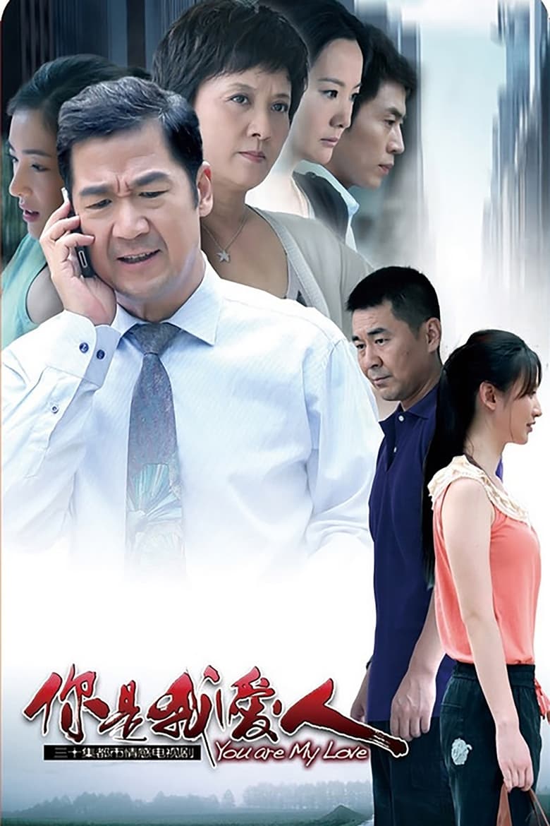 Poster of 你是我爱人