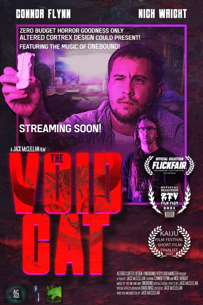 Poster of The Void Cat