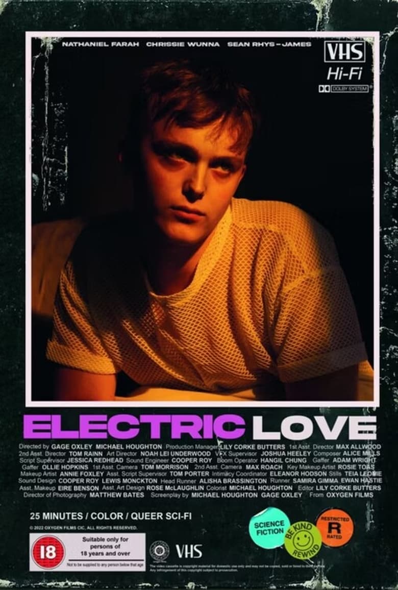 Poster of Electric Love