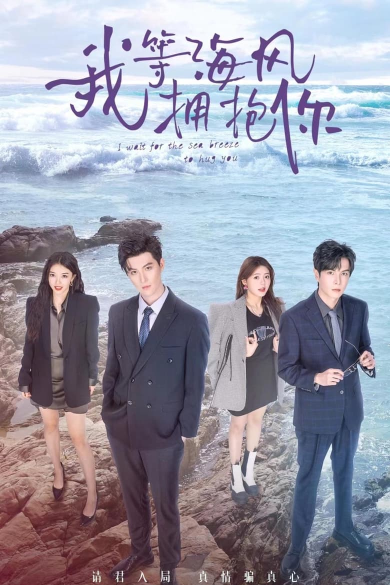 Poster of I Wait for the Sea Breeze to Hug You