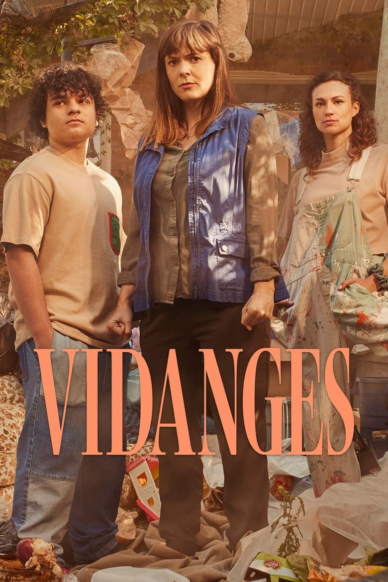 Poster of Vidanges