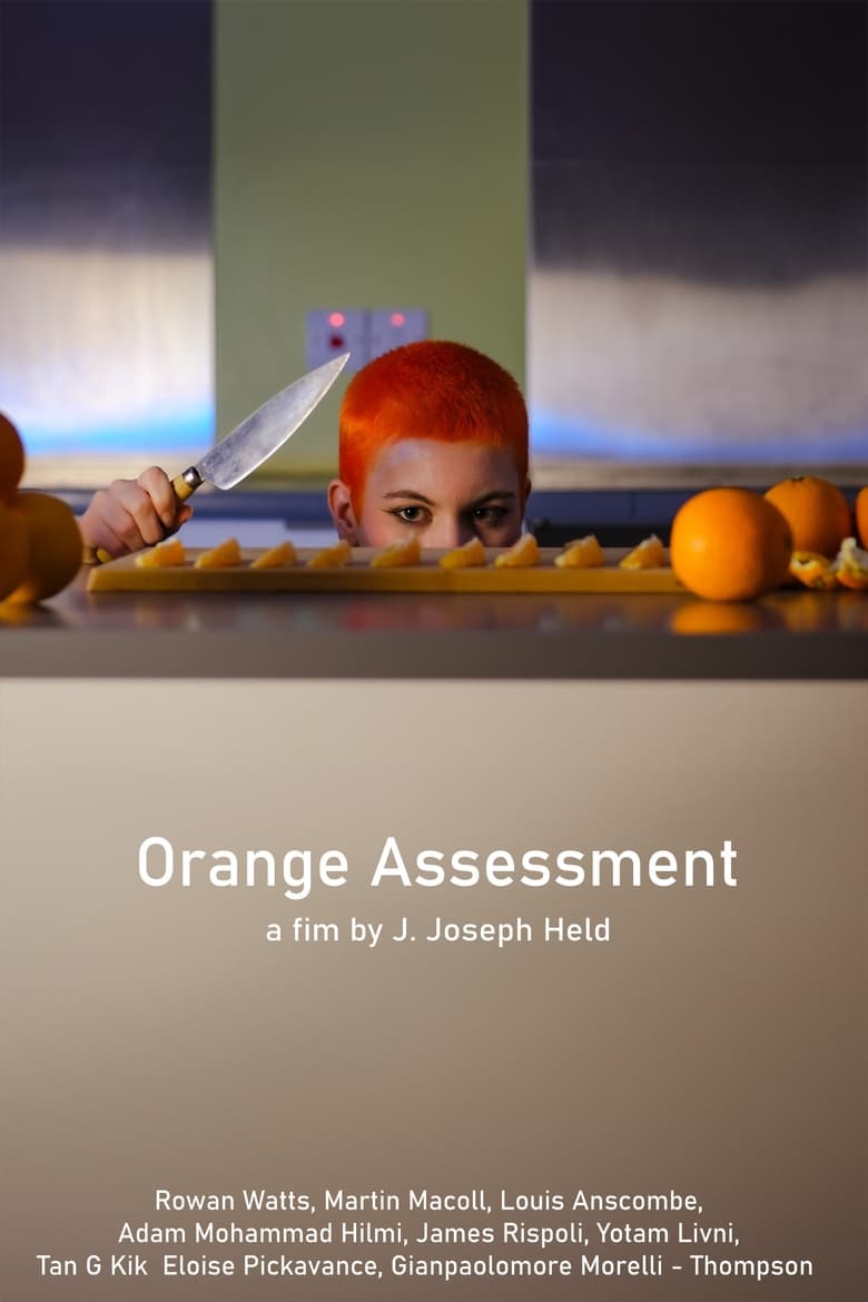 Poster of Orange  Assessment