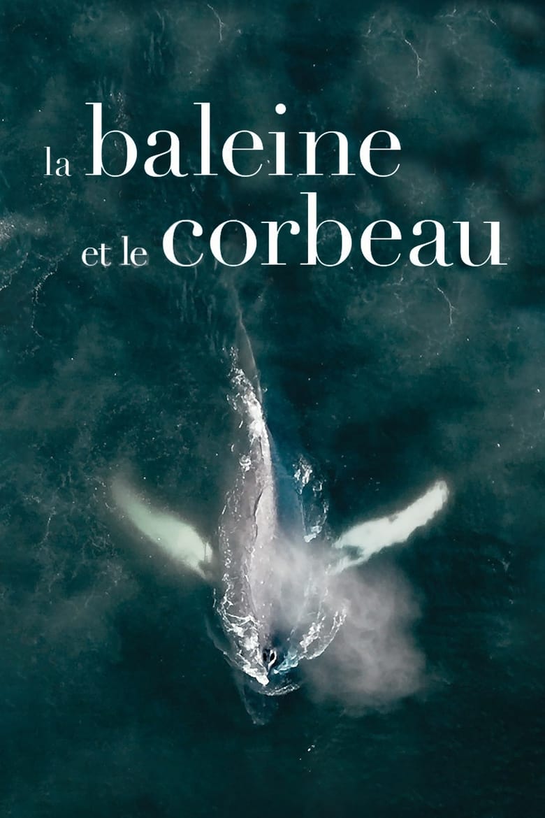 Poster of The Whale and the Raven