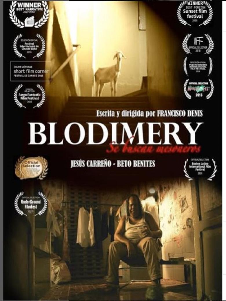 Poster of Blodimery