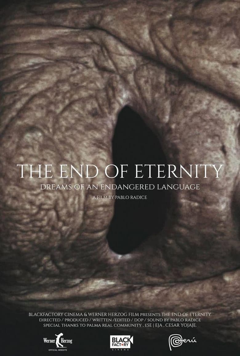 Poster of The End of Eternity