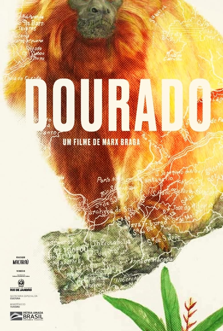 Poster of Dourado