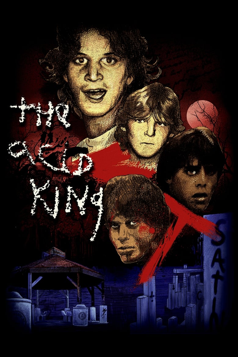 Poster of The Acid King