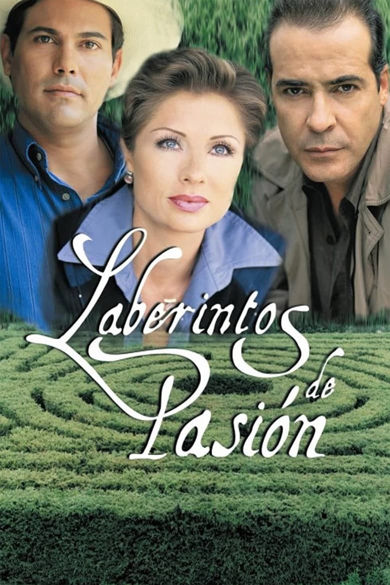 Poster of Labyrinth of Passion