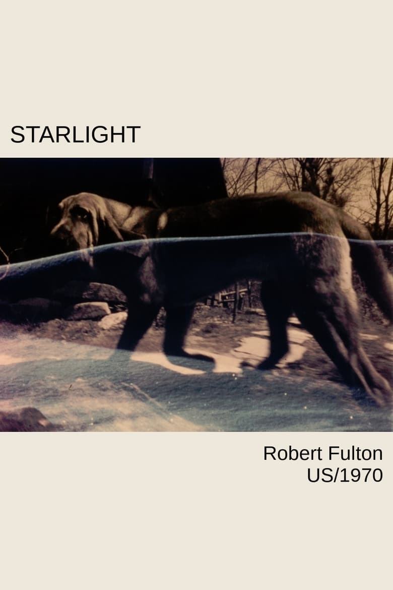 Poster of Starlight